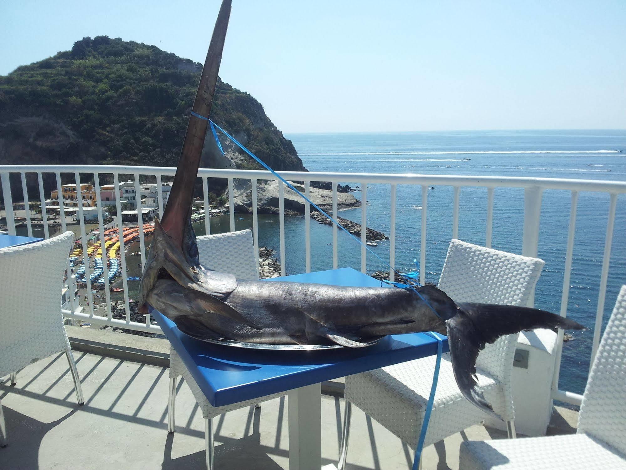 Hotel Villa Sirena Sant'Angelo  Exteriör bild